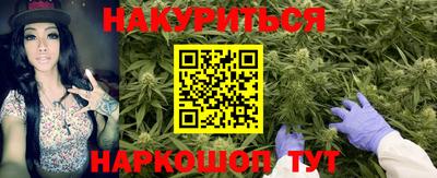 МДПВ Будённовск