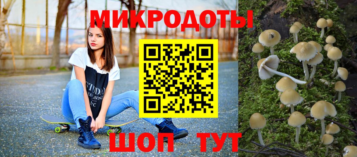 Новоалтайск  купить   Вход с VPN  Галлюциногенные грибы GOLDEN TEACHER 