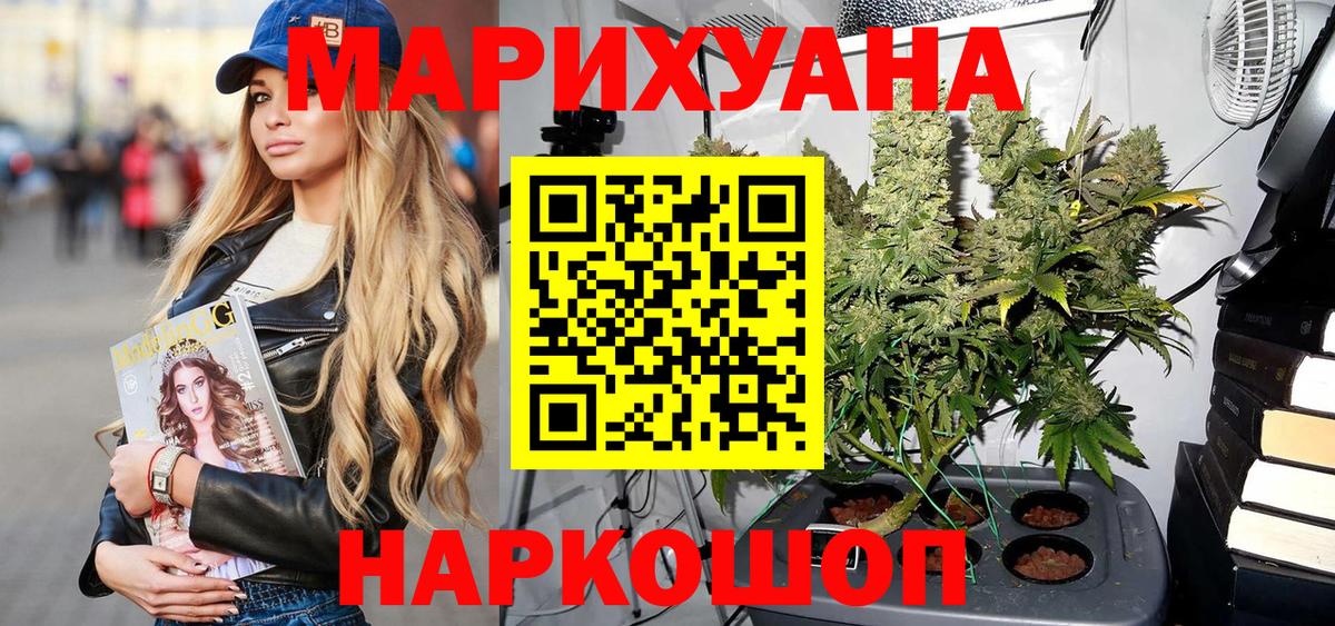 Конопля семена Новоалтайск